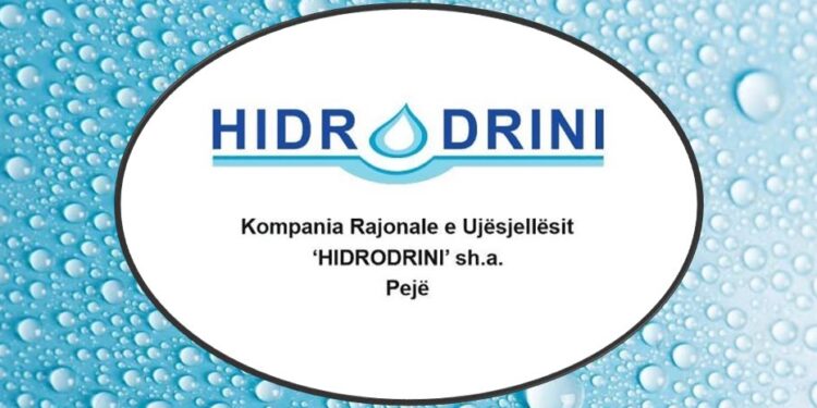 Thahet Peja: VV rehatoi mbi 30 aktivistë e zyrtarë në Ujësjellësin e Pejës