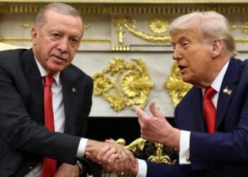Anketa në Ballkanin Perëndimor: Erdogan tejkalon Trump, lideri më i pëlqyer në rajon