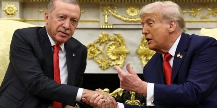 Anketa në Ballkanin Perëndimor: Erdogan tejkalon Trump, lideri më i pëlqyer në rajon