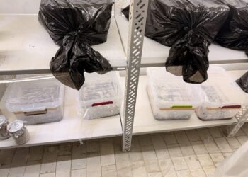 Operacion antidrogë në Prishtinë – Policia sekuestron marihuanë, kokainë dhe kërpudha narkotike