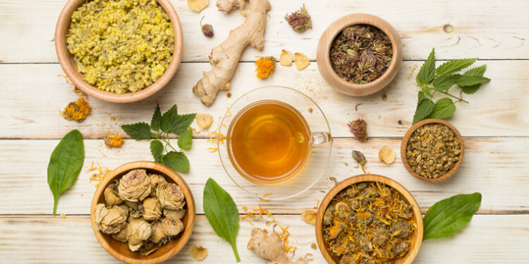 Diabeti dhe natyra: Çfarë bimësh mund të ndihmojnë, dhe kujdesi që duhet të keni