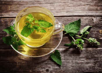 Çaji i hithrës: Përfitimet shëndetësore, efektet anësore dhe si ta konsumoni