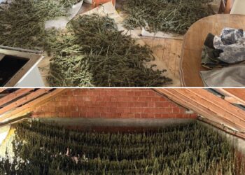 Policia e Kosovës godet rrjet kriminal pas shpërthimit në QKUK, arrestohen 11 persona dhe sekuestrohen armë, drogë dhe telefona