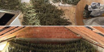 Policia e Kosovës godet rrjet kriminal pas shpërthimit në QKUK, arrestohen 11 persona dhe sekuestrohen armë, drogë dhe telefona