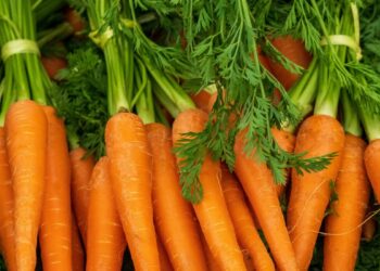 Karrota – Thesari portokalli për shëndetin