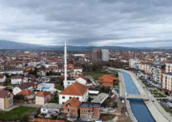 Dyshohet se rrahu nënën e tij, arrestohet podujevasi