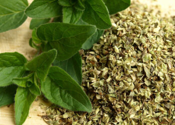 Rigoni: Nga erëz kuzhine në antibiotik natyral