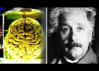 Teknika e re kineze e hartëzimit të ARN-së mund të analizojë trurin e ruajtur të Ajnshtajnit