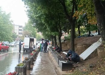 U hoq reklama ndriçuese në cirilik në Mitrovicë të Veriut