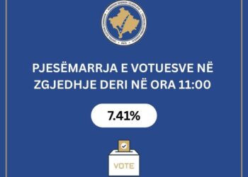 Pjesëmarrja në zgjedhjet lokale në Kosovë, 7.84% deri në orën 11:00