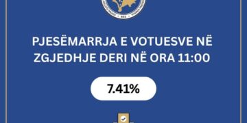 Pjesëmarrja në zgjedhjet lokale në Kosovë, 7.84% deri në orën 11:00