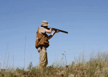 Komuna e Podujevës ndalon gjuetinë gjatë sezonit 2025–2026