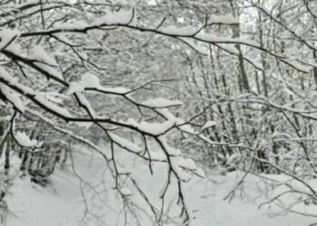 Reshje bore në Kosovë, 91 aksidente brenda 24 orëve