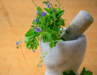 Bimë që forcojnë imunitetin: 5 bimët që duhet t’i keni gjithmonë në kuzhinë