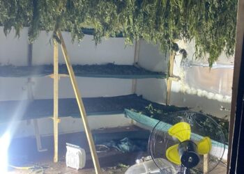 Aksion policor në Podujevë: Arrestohen 7 shtetas shqiptarë për veprimtari me substanca narkotike