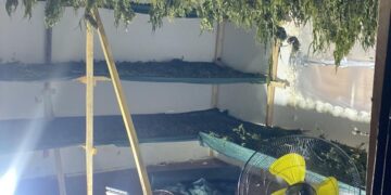 Aksion policor në Podujevë: Arrestohen 7 shtetas shqiptarë për veprimtari me substanca narkotike