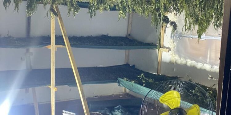 Aksion policor në Podujevë: Arrestohen 7 shtetas shqiptarë për veprimtari me substanca narkotike