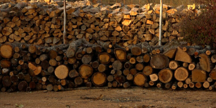 Një metër dru kushton 60-70 euro në Prishtinë
