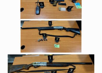 Arrestohen tre persona në Zubin Potok për armëmbajtje pa leje dhe gjueti të kundërligjshme