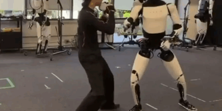 Roboti humanoid “Optimus” i Teslës demonstron lëvizje Kung Fu – tregon shpejtësi, ekuilibër dhe inteligjencë artificiale të avancuar