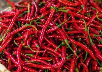 Ngarkesë Specash Djegës Bllokohet në Kroaci për Pesticide të Ndaluara