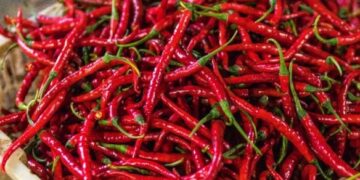 Ngarkesë Specash Djegës Bllokohet në Kroaci për Pesticide të Ndaluara