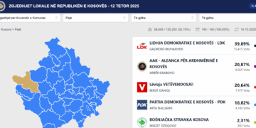 LDK kryeson garën për Asamblenë Komunale në Pejë