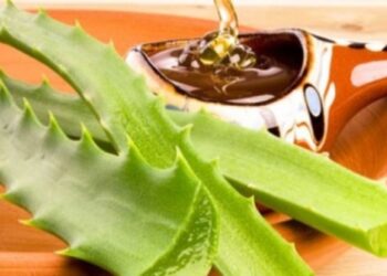 Fuqitë shëruese të mjaltit dhe aloe verës