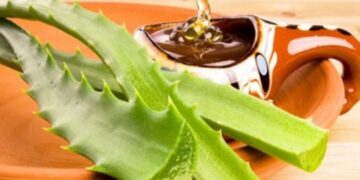 Fuqitë shëruese të mjaltit dhe aloe verës