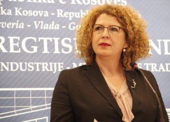 Aktakuza për rezervat shtetërore – Rozeta Hajdari thërret konferencë për media