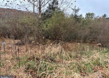 E gjeti një pasuri dhe përfundoi e ndëshkuar – historia absurde e një gruaje nga Austria