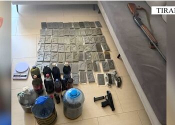 “Labirinti”: Policia shkatërron rrjetin e drogës në Tiranë – 44 persona të identifikuar, sekuestrim droge, armësh dhe 118 mijë euro të vjedhura