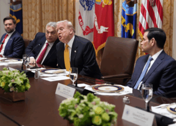 SHBA bojkoton samitin e G20 në Afrikën e Jugut – Trump: Nuk marrim pjesë për sa kohë vazhdojnë abuzimet