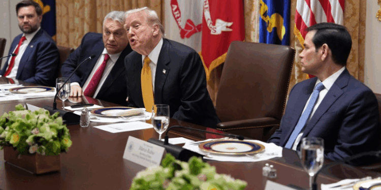 SHBA bojkoton samitin e G20 në Afrikën e Jugut – Trump: Nuk marrim pjesë për sa kohë vazhdojnë abuzimet