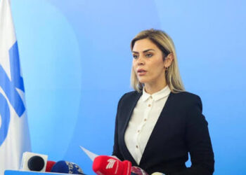 Zgjedhjet e 28 dhjetorit – Deliu: “Mërgata është Kosovë, kudo që jeton”