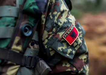 113-vjet ushtri shqiptare, Begaj: Krenar me pjesëmarrjen në misione të NATO-s, BE-së dhe OKB-së