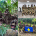 Komandot e FSK-së kthehen nga xhunglat e Belizes: Trajnim elitar me njësitë britanike