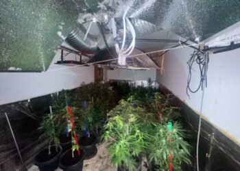 Aktakuzë për laboratorin e drogës në Prizren: 9 të akuzuar, dy banesa dhe sasi narkotikësh të sekuestruara