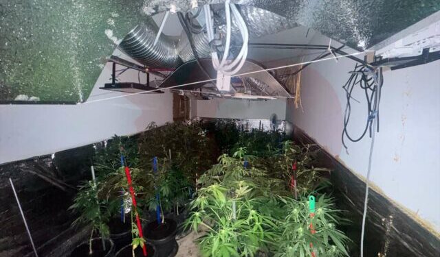 Aktakuzë për laboratorin e drogës në Prizren: 9 të akuzuar, dy banesa dhe sasi narkotikësh të sekuestruara