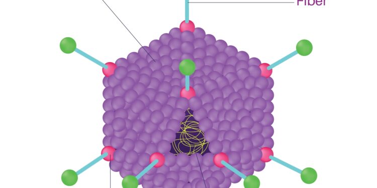 Alarmojnë mjekët: Adenovirusi, “kërcënimi i heshtur” që po rezulton më rezistent se Covid-19 dhe Gripi