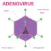 Alarmojnë mjekët: Adenovirusi, “kërcënimi i heshtur” që po rezulton më rezistent se Covid-19 dhe Gripi