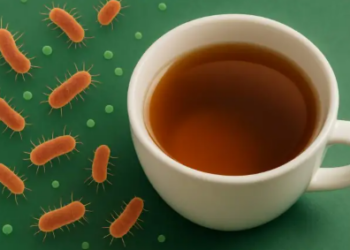 Bakteret në urinë – shkaqet, llojet dhe ilaçet natyrale që ndihmojnë