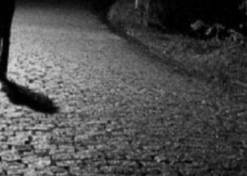 Raportohet i zhdukur një i mitur në Gjilan