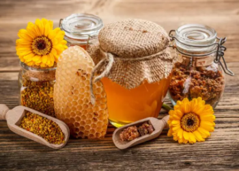 Forconi trupin natyrshëm: Produktet e bletëve për imunitet të fortë