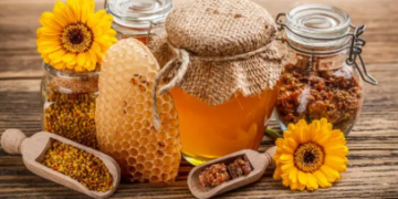 Forconi trupin natyrshëm: Produktet e bletëve për imunitet të fortë
