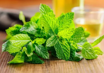 Si të rregulloni hormonet e tiroides (TSH, T3 dhe T4) në mënyrë natyrale – çfarë funksionon realisht?