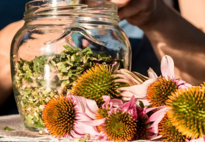 Mjetet më të mira natyrale për forcimin e imunitetit