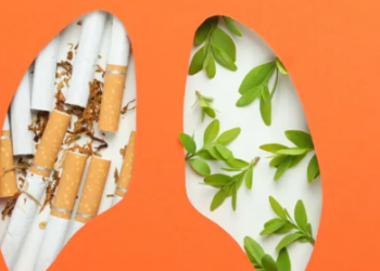 Çfarë të hani për ta ndihmuar trupin të rikuperohet nga nikotina?