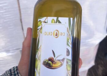 Ndalohet në kufi importi i mbi 1 mijë litrave vaj ulliri nga Shqipëria