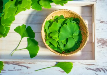 Si të përshpejtoni rimëkëmbjen pas goditjes në tru: Bimët dhe suplementet që mund të ndihmojnë